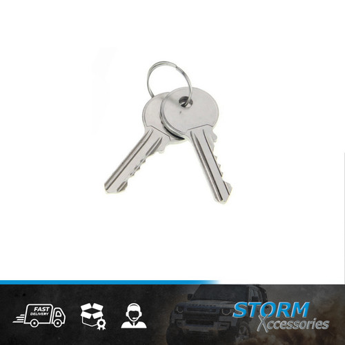 Armadillo spare keys pair - armadillo,