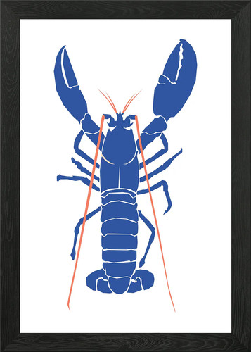 Lobster ocean sea animals - lobster,