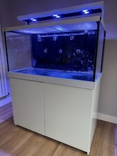 Red Sea Max S500 Marine Aquarium