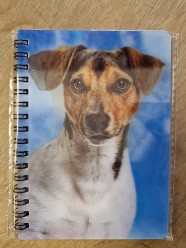 Jack russell terrier notebook - jack,