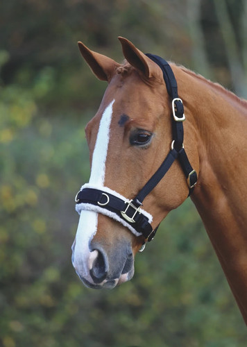 Shires fleece lined - shires,