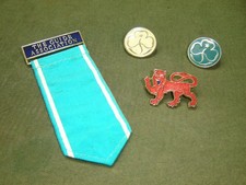Girl Guide Assoc Badge Tab - Ranger & Brownie Badges - Lion Surrey County Pin