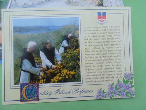 Caldey island perfumes photo - island, perfumes,