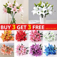 10Heads Artificial Stargazer