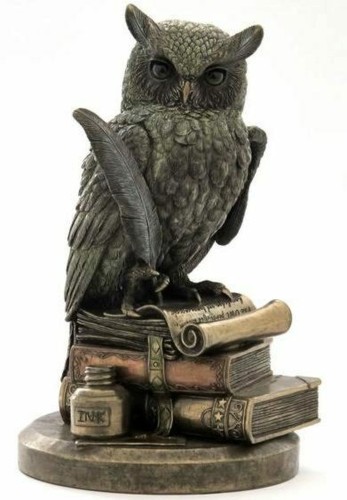 Wise owl books bronze - wise,