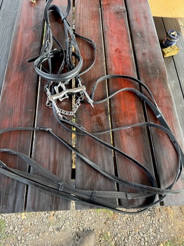 Classic equine double - equine, bridle
