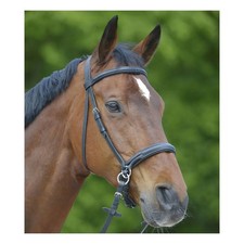 Mackey Star Bitless Bridle -