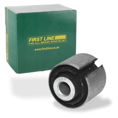Control trailing arm - control/trailing,