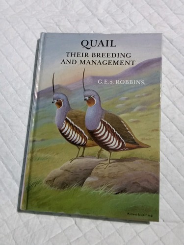 Quail their breeding - quail:,