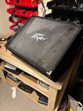 Peavey PV 12M Monitor, Signs