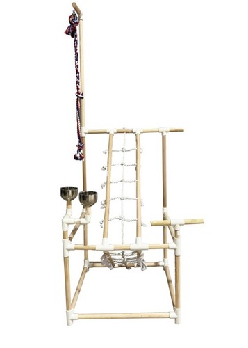 Bird gym play - bird,