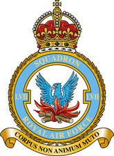 LVII 57 Squadron RAF badge
