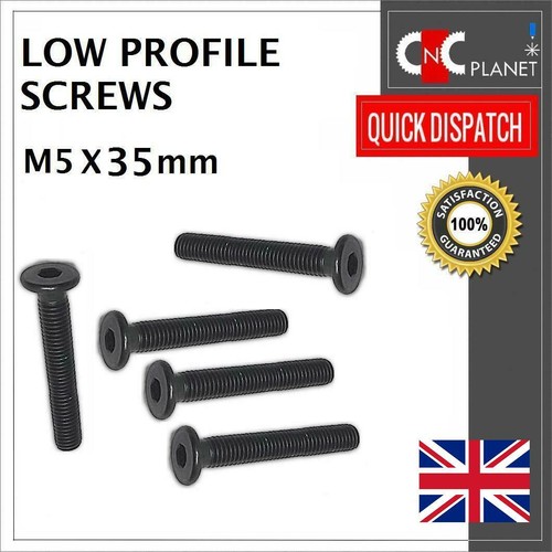 Low profile screws bolt - profile,