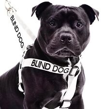 New BLIND DOG Safety Control Non Pull Harness Or Padded Handle Luxury Lead Sets