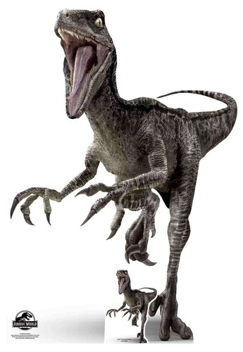 Velociraptor blue dinosaur - velociraptor,