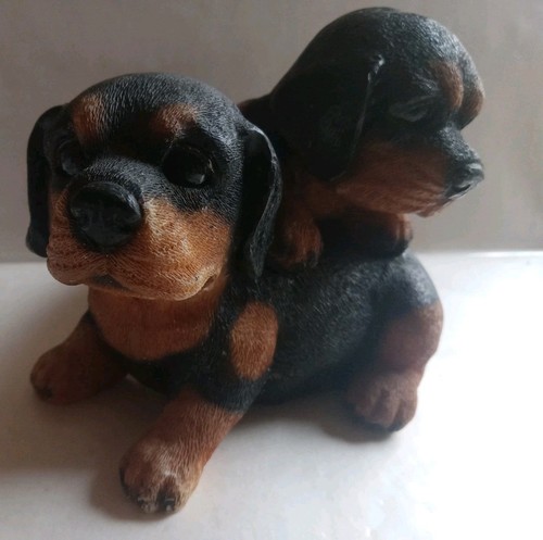 Rottweiler puppies preowned - puppies,
