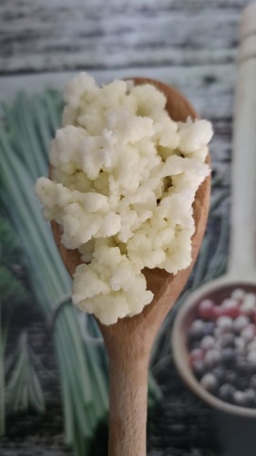 50g live milk kefir - 50g,