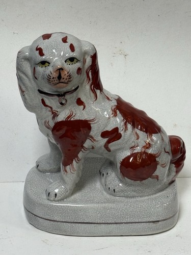 King charles spaniel - king,
