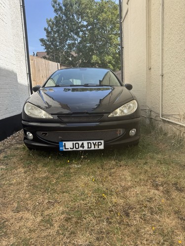Peugeot 206 gti 180 - 206,