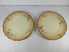 Antique Victorian Plates R&D Redfern & Drakeford Staffordshire Pottery