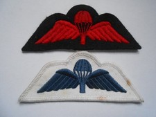 two jump wings 1980`s    2