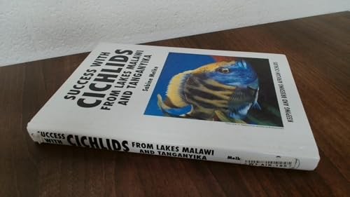 Success with cichlids - success,