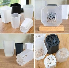 Matt Black Tower Aroid Plant