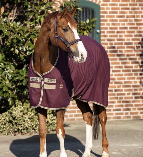 Amigo horseware stable sheet - amigo,