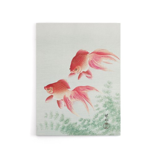 Two veiltail goldfish pond - veiltail, in