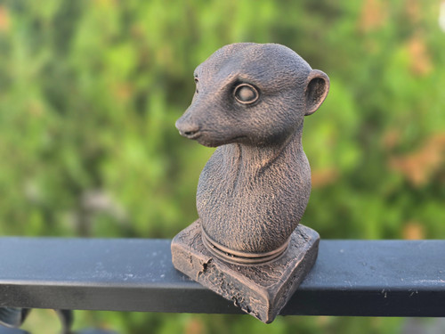 Meerkat bust - meerkat,