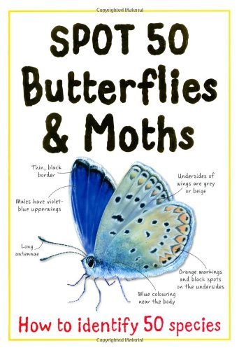Spot butterflies and moths - spot,
