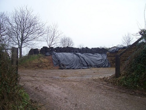 Photo 6x4 mid devon farm - photo,