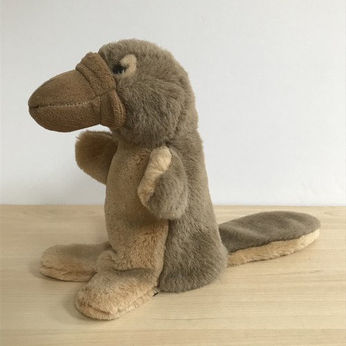 Duck billed platypus hand - platypus,