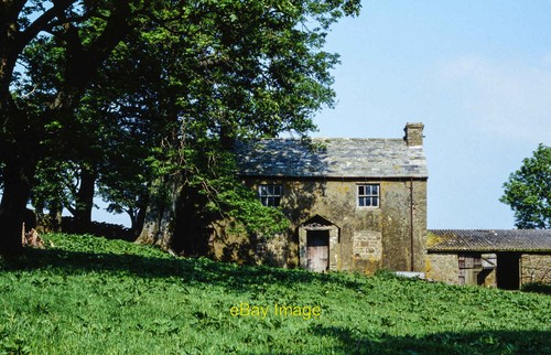 Photo 6x4 farmhouse cow - photo, at