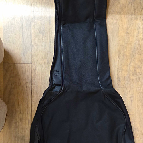 Black guitar gig - black, case