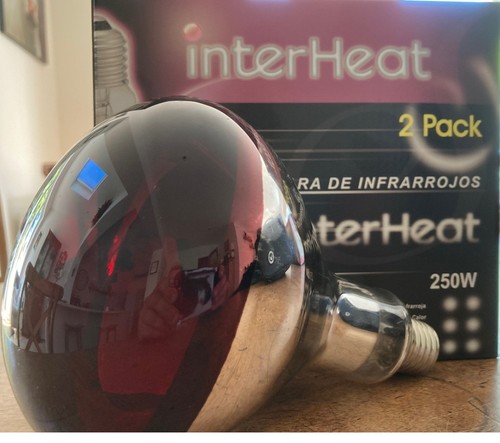 250 watt infrared brooder - 250,