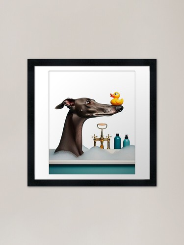 Whippet bathtime framed - whippet,