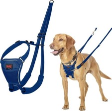 HALTI TRAIN NO PULL HARNESSES