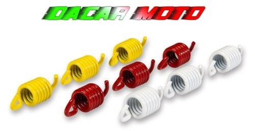 Clutch spring set - spring,