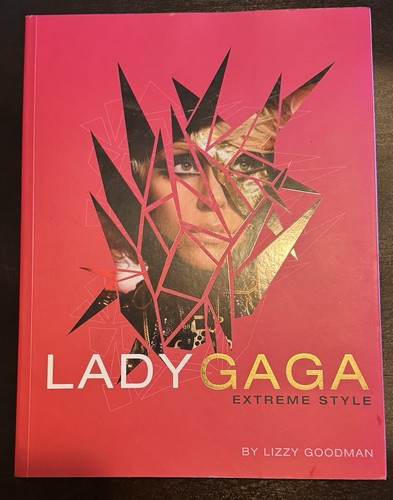 Lady gaga critical - lady,