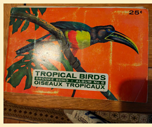 Brooke bond canada tropical - bond,