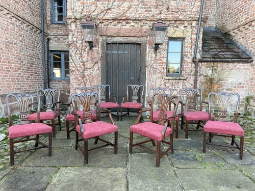 Chippendale vintage chairs - chippendale,