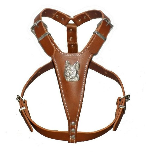 Beautiful brown leather dog - leather,