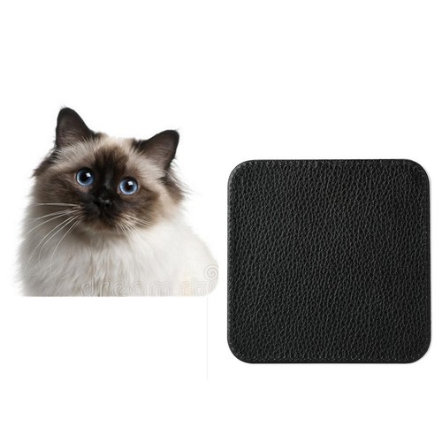 Set birman cat - 4,