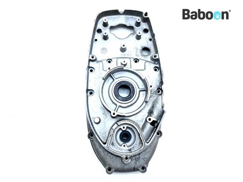 Cam chain cover bmw 5 - chain,