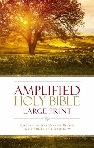 Amplified holy bible - holy, large