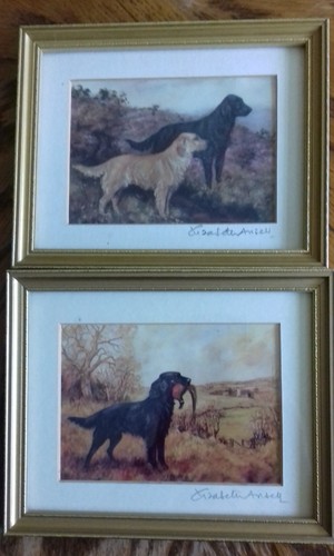 Elizabeth ansell signed - elizabeth,