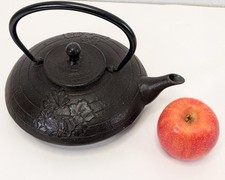 Traditional Japanese Cast Iron Teapot Tetsubin Bonjour Odori Collection 9in
