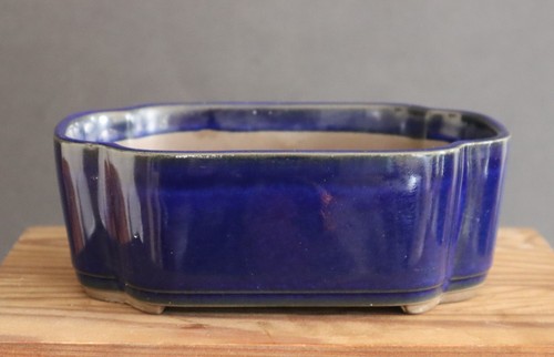Bonsai pot blue rectangular - bonsai,