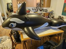 Intex The Wet Set Whale Ride